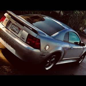 Meet your Posher, Phil